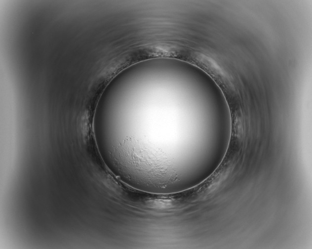X0000096640318200802051134