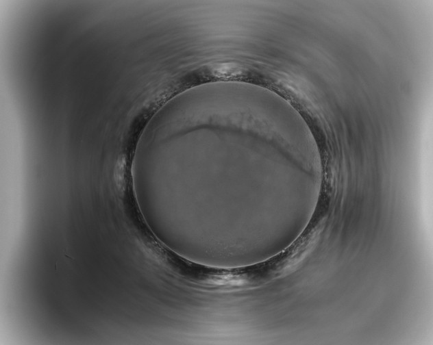 X0000096640319200802051134