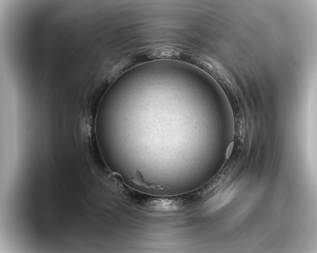 X0000096640326200802051133