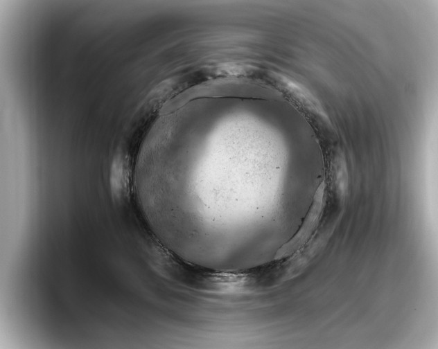 X0000096640328200802051133
