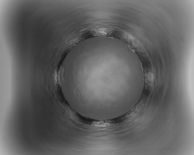 X0000096640331200802051133