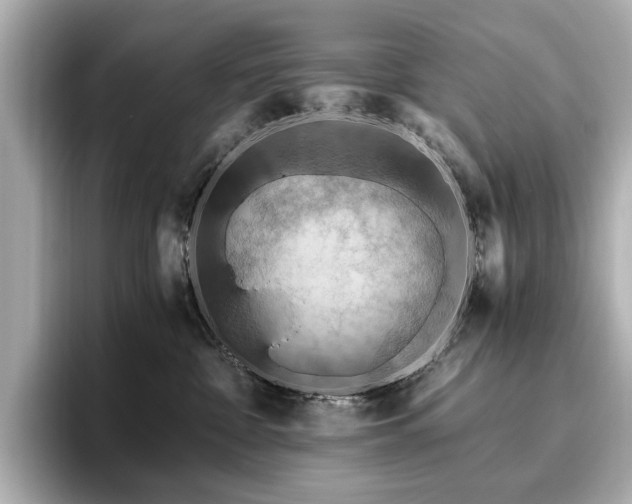 X0000096640332200802051133