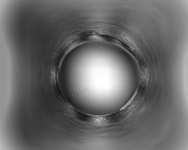 X0000096640333200802051133