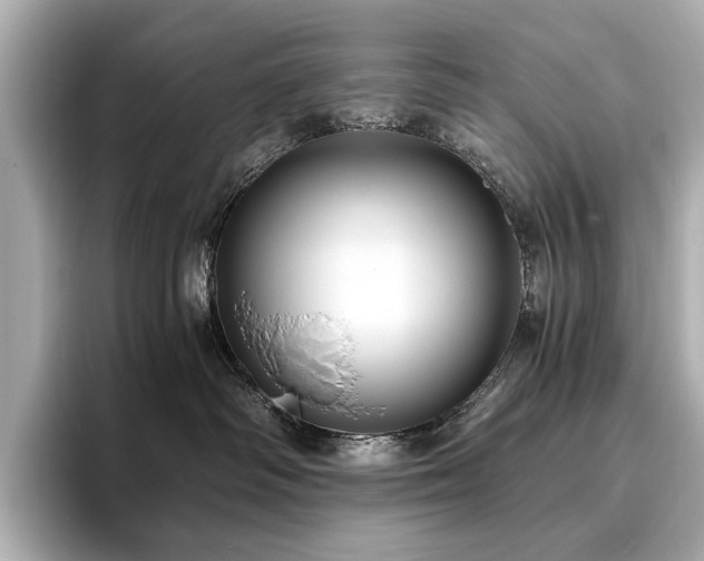 X0000096640334200802051133
