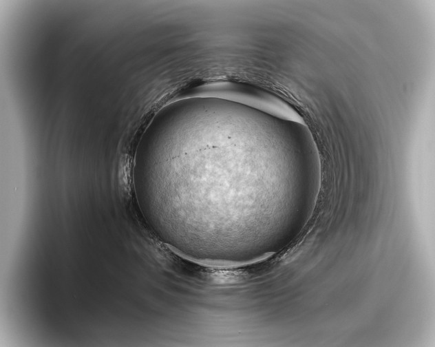 X0000096640336200802051133