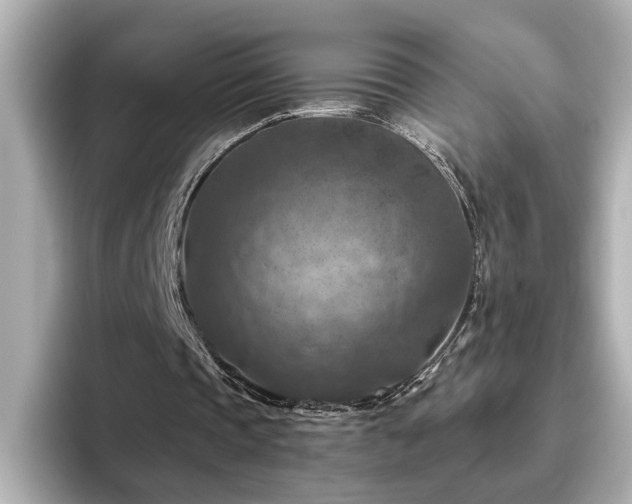 X0000096640337200802051133