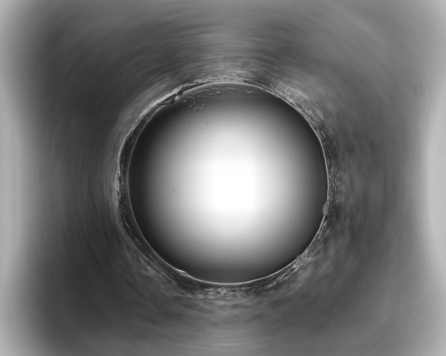 X0000096640338200802051133