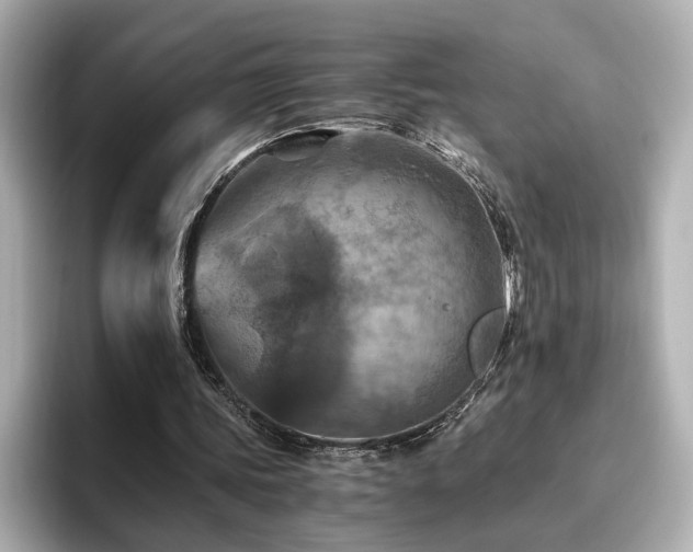 X0000096640339200802051133