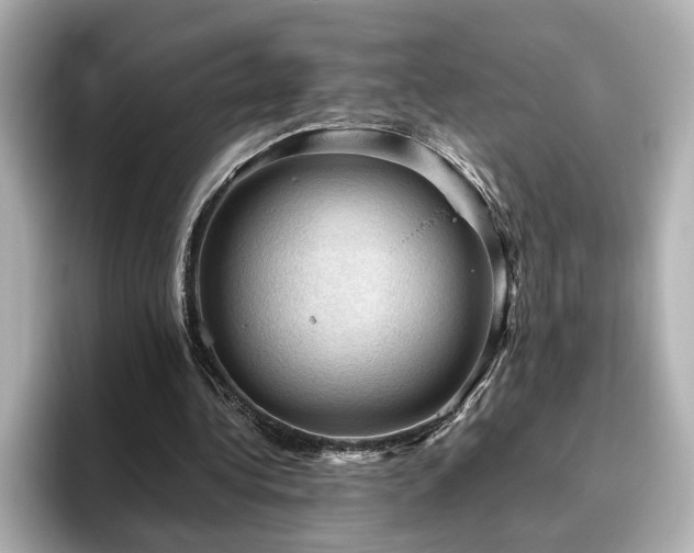 X0000096640340200802051133