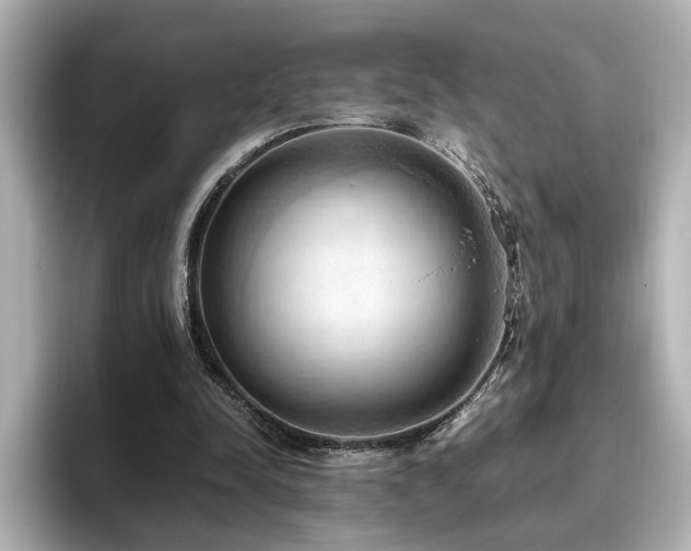 X0000096640342200802051133