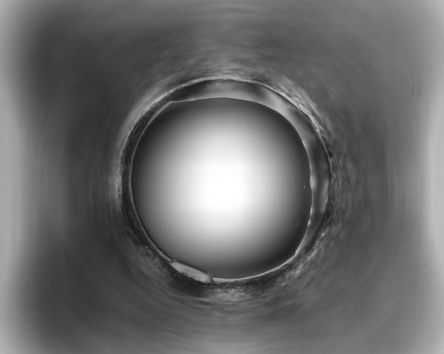 X0000096640344200802051133