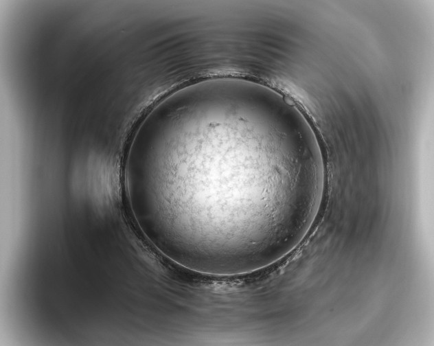 X0000096640345200802051133
