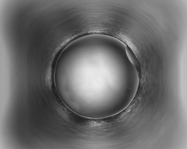 X0000096640346200802051133