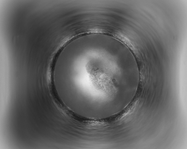 X0000096640347200802051133