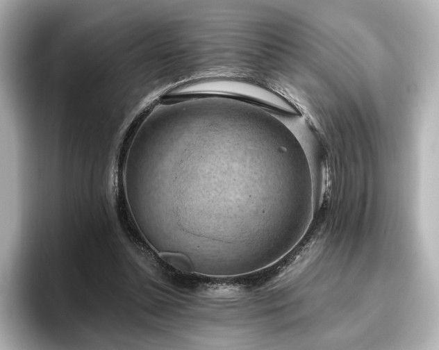 X0000096640348200802051133
