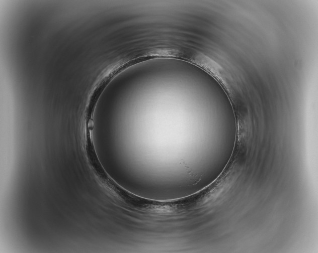 X0000096640349200802051133