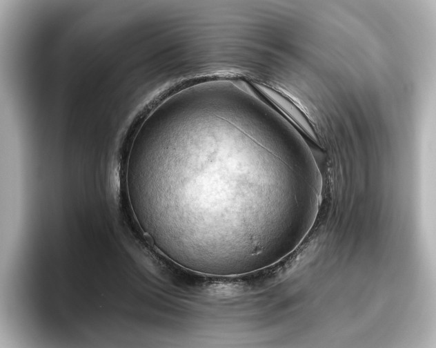 X0000096640350200802051133