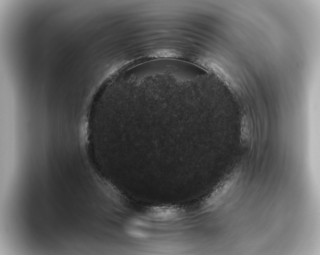 X0000096640351200802051133