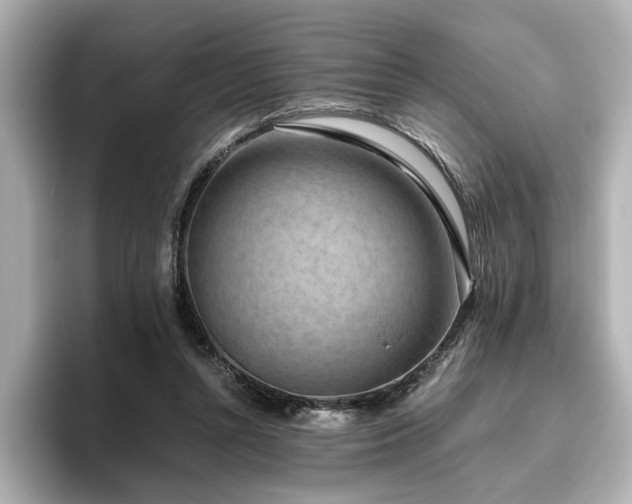 X0000096640352200802051133