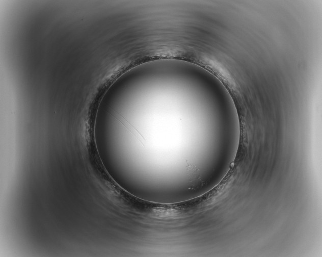 X0000096640354200802051133
