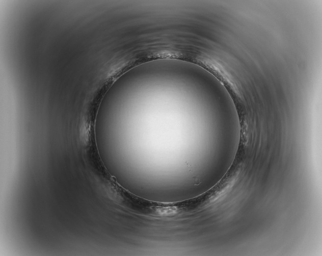 X0000096640355200802051133