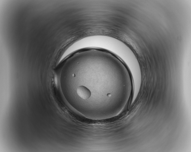 X0000096640356200802051133