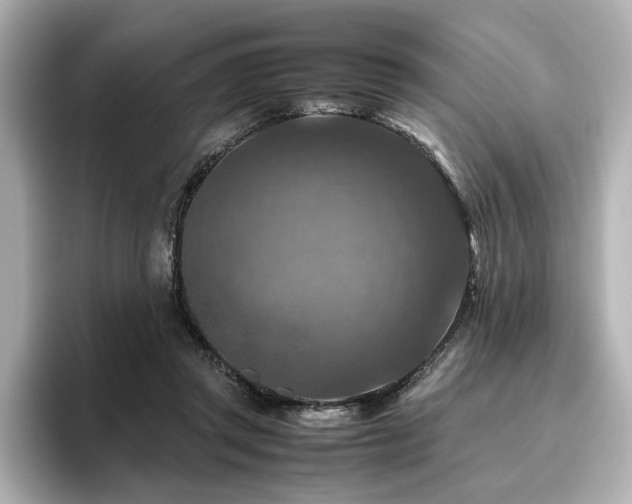 X0000096640357200802051133