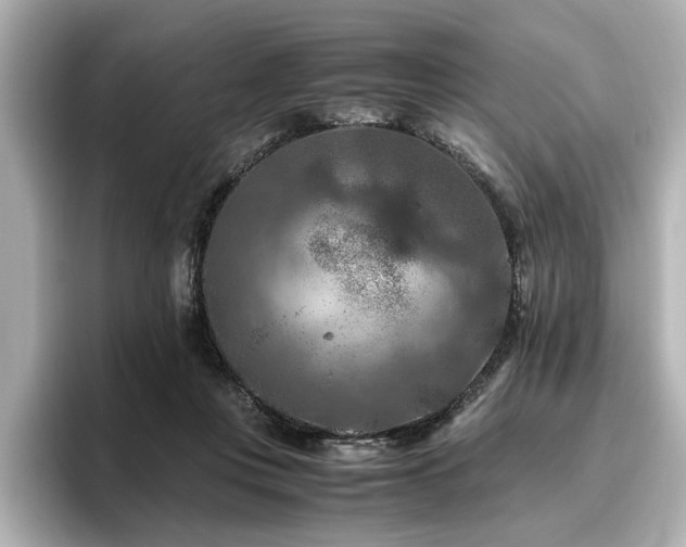 X0000096640359200802051133