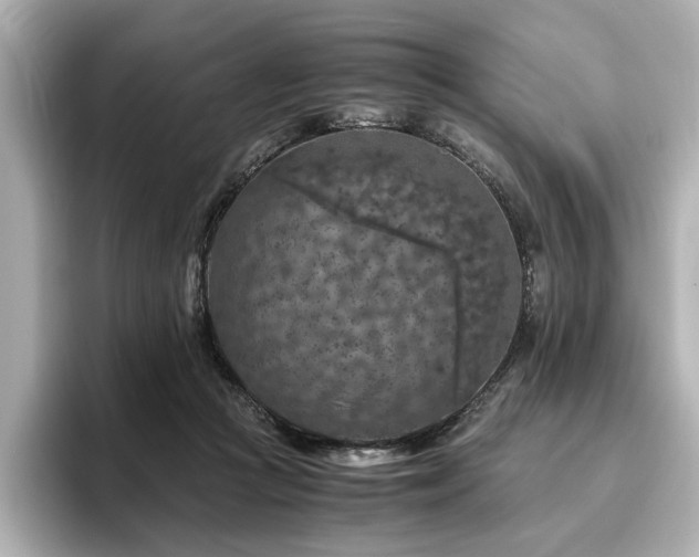 X0000096640361200802051133