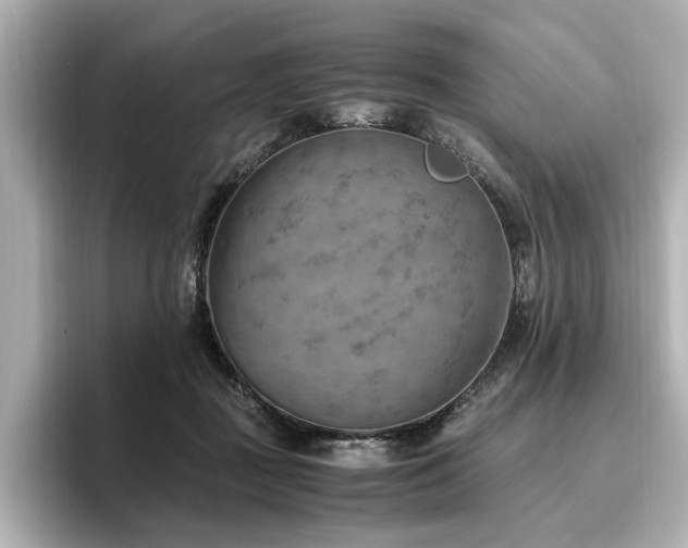 X0000096640363200802051133