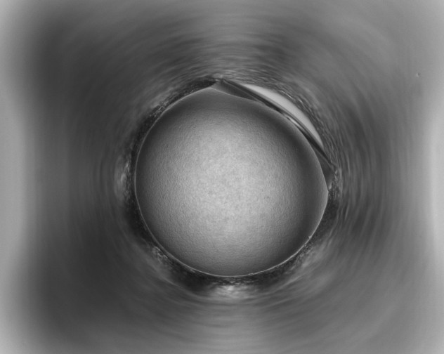 X0000096640364200802051133