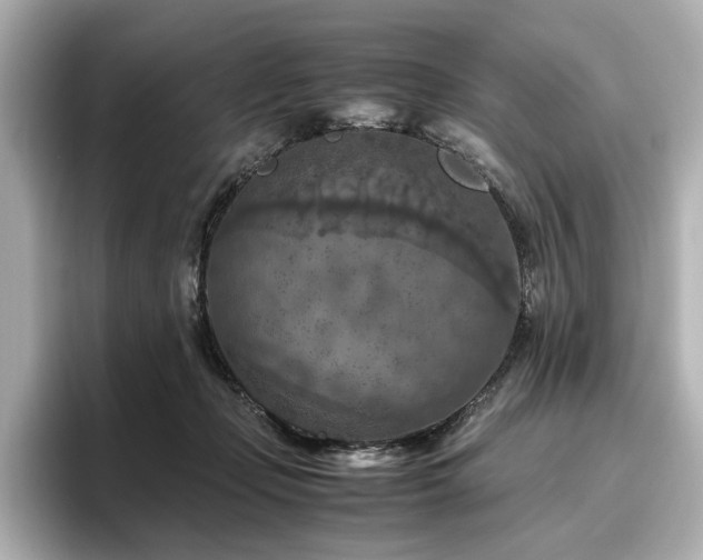 X0000096640365200802051133