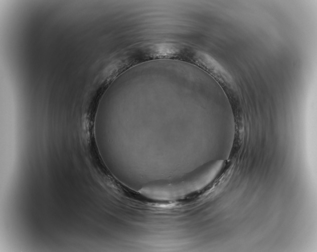 X0000096640366200802051133