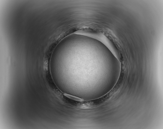 X0000096640368200802051133