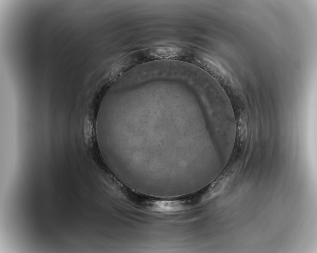 X0000096640371200802051133