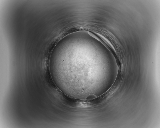 X0000096640372200802051133