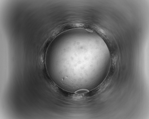 X0000096640373200802051133