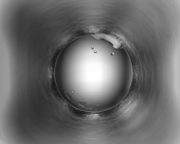 X0000096640374200802051133