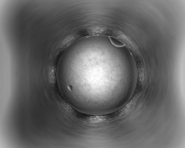 X0000096640378200802051133