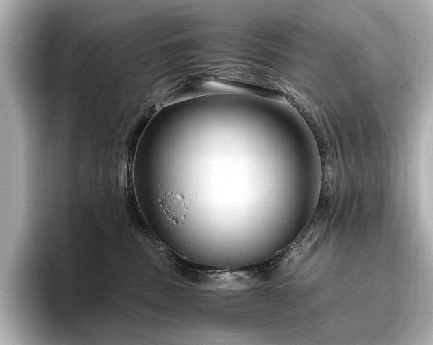 X0000096640379200802051133
