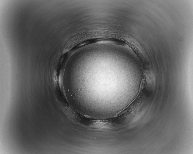 X0000096640380200802051133