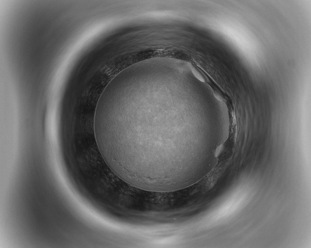 X0000096640383200802051133