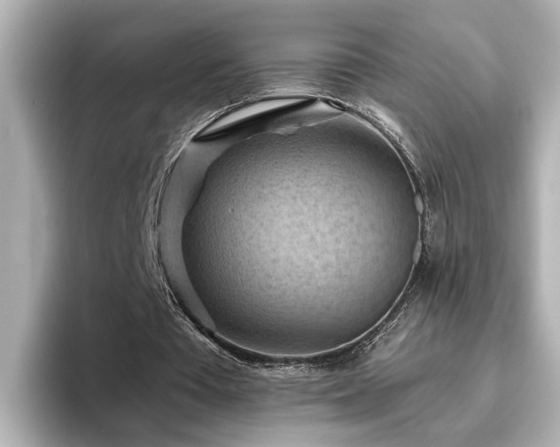 X0000096640385200802051133
