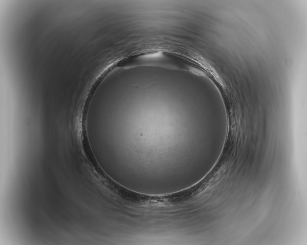 X0000096640386200802051133