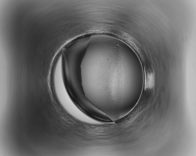 X0000096640387200802051133