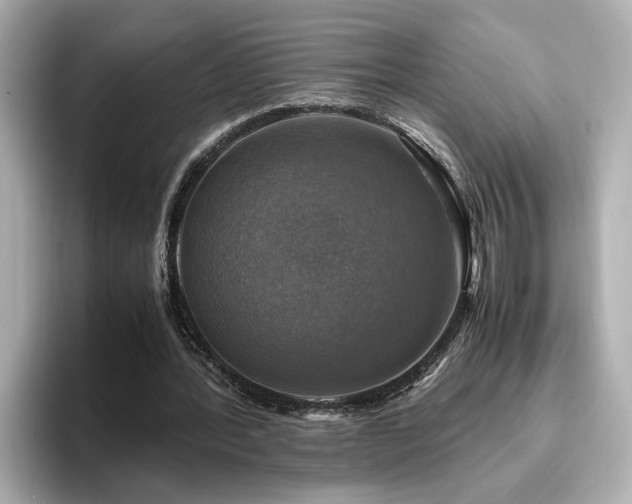 X0000096640388200802051133