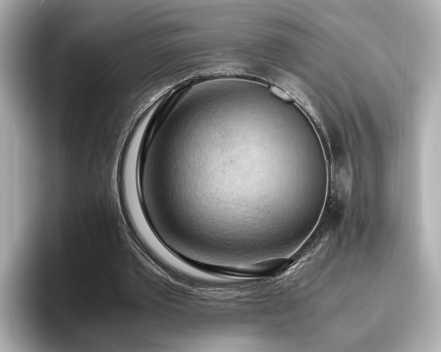 X0000096640389200802051133