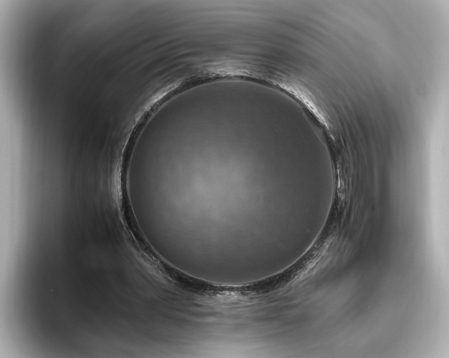 X0000096640390200802051133