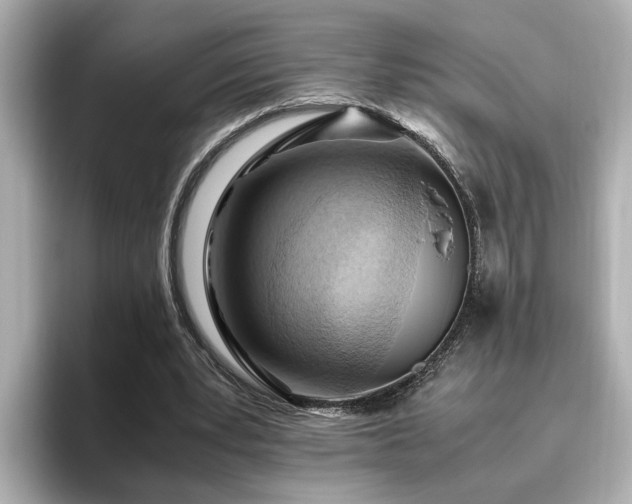 X0000096640391200802051133