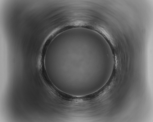 X0000096640392200802051133
